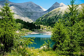 Agrandir l'image